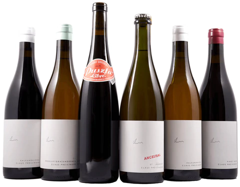 Claus Preisinger vinos Austria naturales
