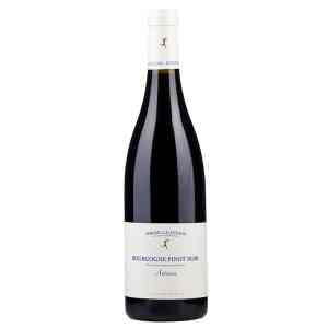 Borgoña pinot noir Galeyrand Antonin